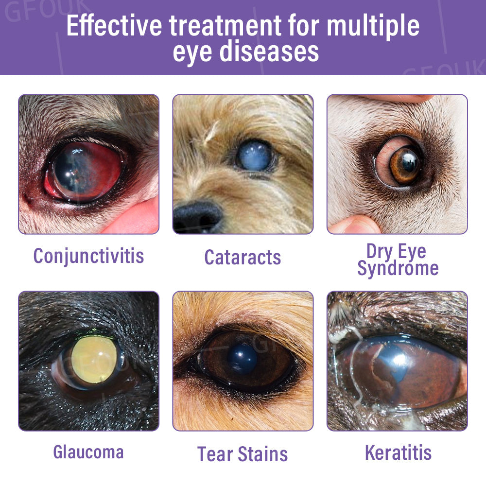 👩‍⚕️GFOUK® NanoCare Pet Eye Drops ☑️ MHRA Approved | Relieves Conjunctivitis, Dry Eyes, Cataracts, and Keratitis🐶